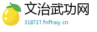 文治武功网